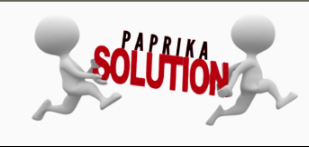 Paprika Solutions CONSULTING SERVICES